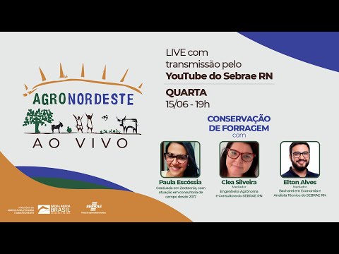 LIVE &QUOT;CONSERVAÇÃO DE FORRAGEM&QUOT;