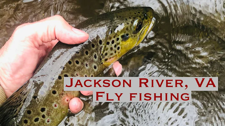 Jackson River, VA Fly Fishing