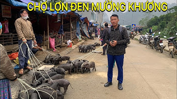 CHỢ PHIÊN VÙNG CAO - CHỢ GIÁP BIÊN MƯỜNG KHƯƠNG , LỢN ĐEN LAI , CHÓ BẢN  & NÔNG SẢN SẠCH ...