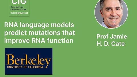RNA language models predict mutations that improve RNA function