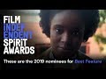 Who's nominated?! Meet the 2019 Spirit Award BEST FEATURE nominees