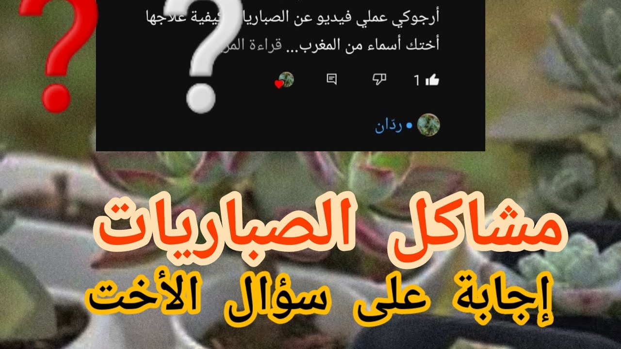 مشاكل الصباريات ؟؟(اجابة على شؤال الاخت)
