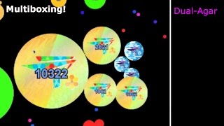 Dual-Agar  | Multiboxing!
