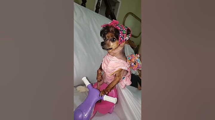 O RITA VOLTA DESGRAMADA