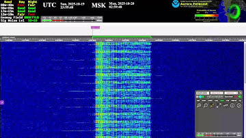The Buzzer (4625khz) - Live