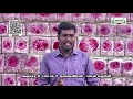 11th Botany செல் சுழற்சி பாடம் 7 அலகு 6 பகுதி 1 TM Kalvi TV