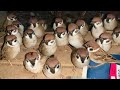 「ずっとここにいます」