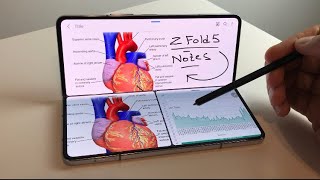 How to Take Notes on Samsung Galaxy Z Fold 5 with S Pen  20 Powerful features for Samsung Notes