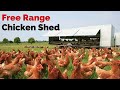 Free Range Chicken Shed