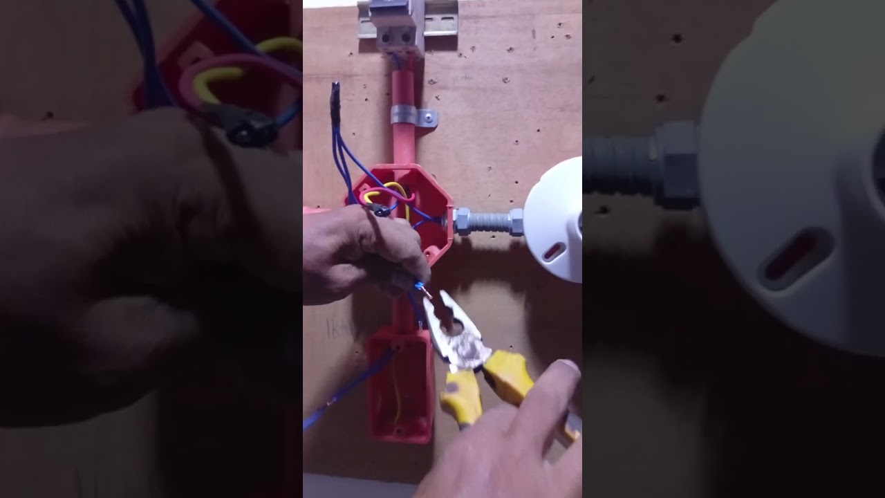 Two gang two bulb and two location basic Wiring Tutorial 