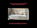 Brush cassava peeling machne cassava cleaning machine cassava peeler cassava processing equipment
