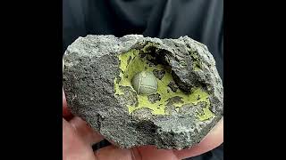 Video preview: Matcha-Green Botryoidal Calcite — Fujian, China | Natural Mineral Specimen