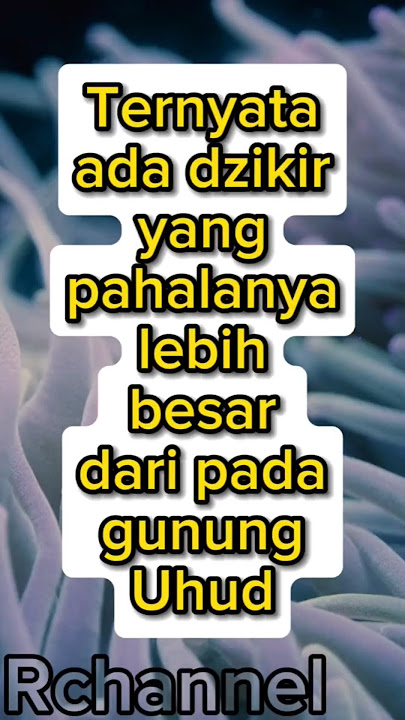 Ternyata ada dzikir yang pahalanya lebih besar daripada Gunung Uhud #shorts