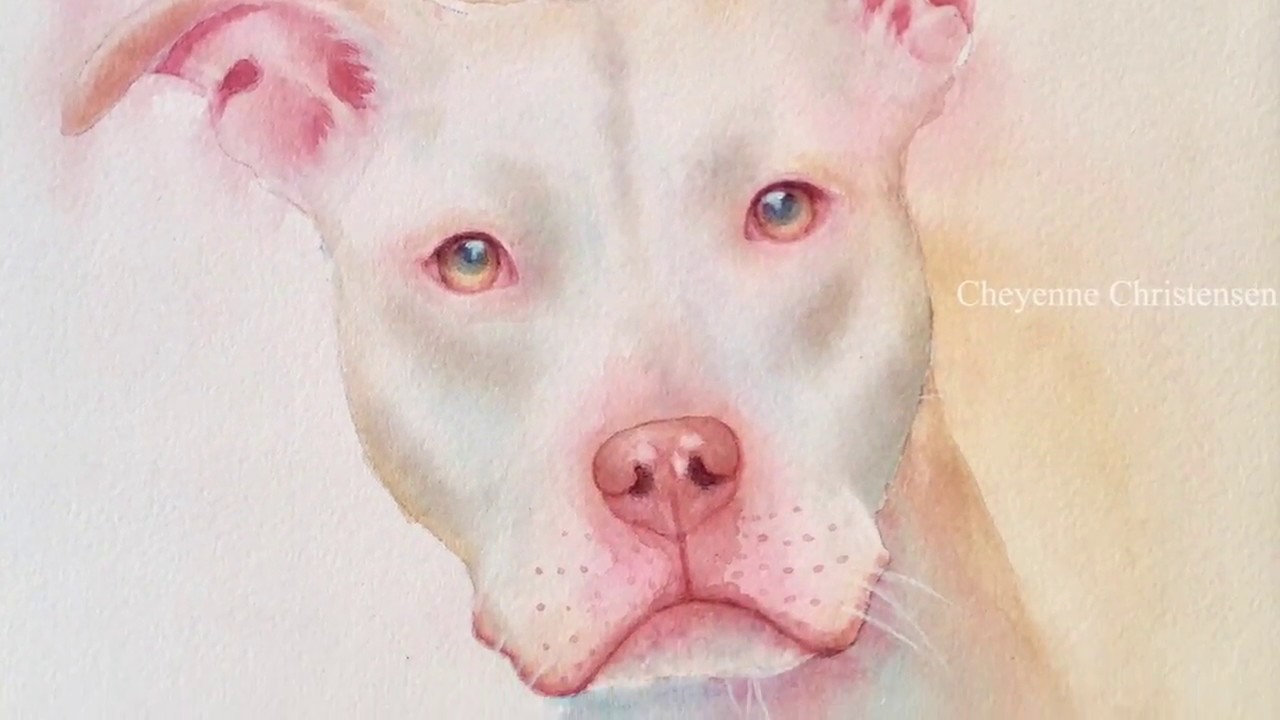 Watercolour Pitbull Painting Time-Lapse