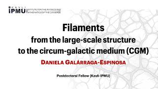 Filaments: from the large-scale structure to the CGM