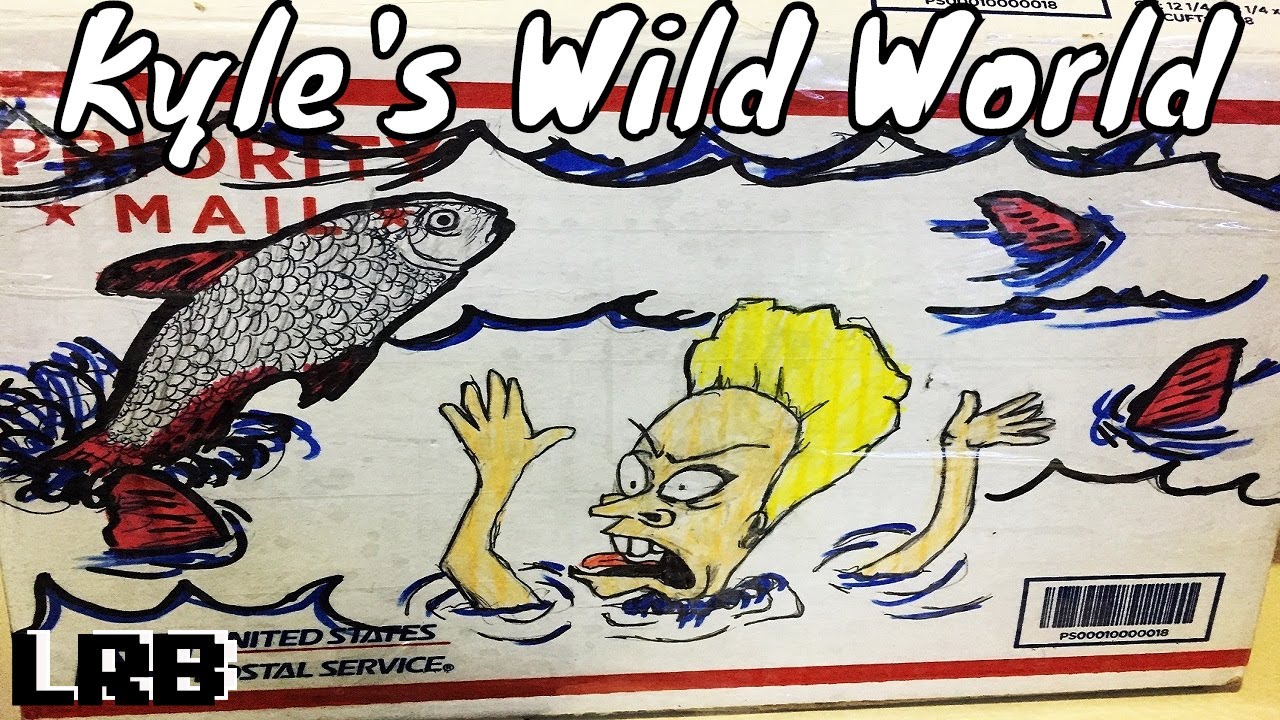 Unboxing Kyles Wild World Aqauarium Plants and Fish and Even Some Tips