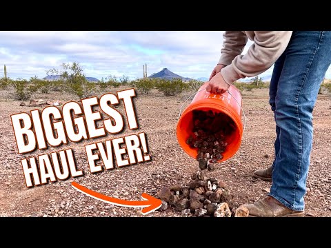 Video: Quartzsite, Arizona: Wie man diese Wüstenstadt besucht