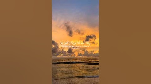 تلاوة هادئة🌹 #القرآن_الكريم #اكسبلور #المصحف #تلاوة_خاشعة #راحة_نفسية #القرآن_راحة_للقلب #لايك #fyp