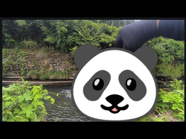 渥美拓馬さんの「ヴリトラ」これは本物だ‥ - YouTube