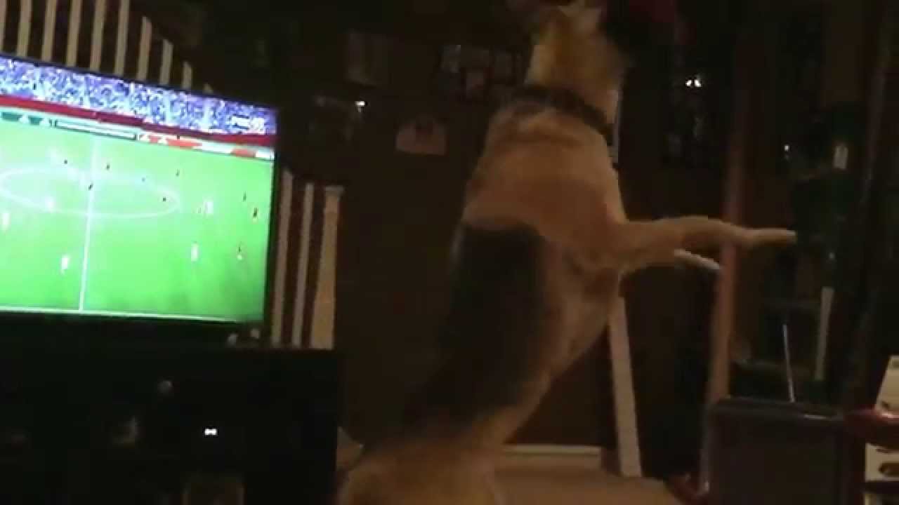 Having a catch with Athena