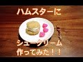 ハムスターにシュークリーム作ってみた♪ Cream Puff For Hamster!!