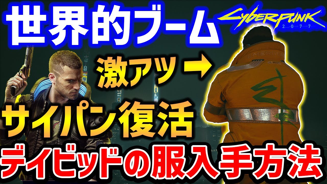 デイビットのリーフレット