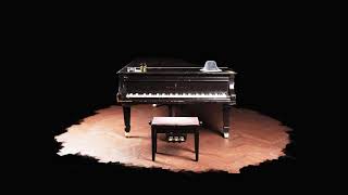 Turntable piano screenshot 3