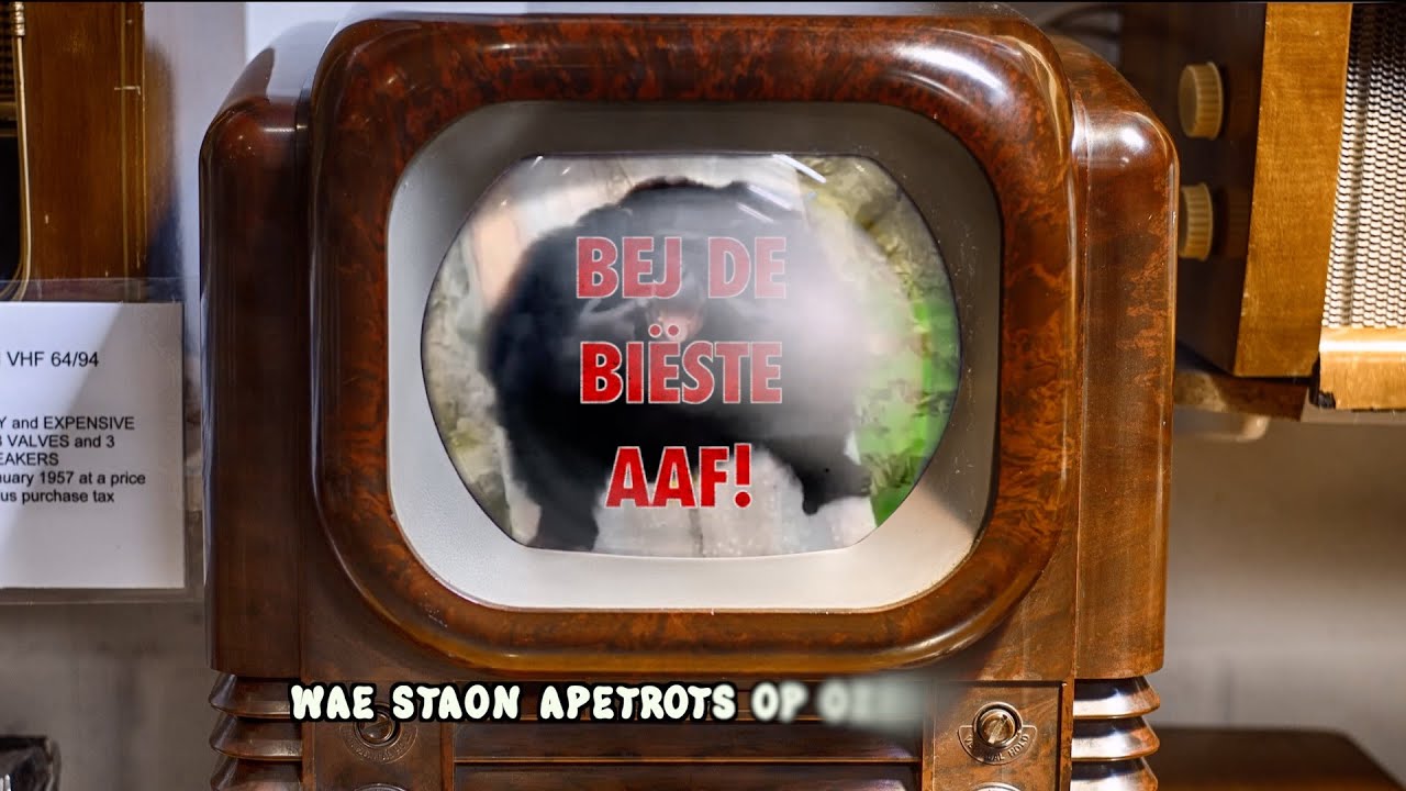 A.P.E. (Aod Prinsen Egchel) -   Bej de Bieste aaf!