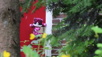 Biologische moeder Vlaardings pleegmeisje ‘uit het veld geslagen’ na uitspraak