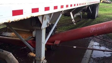 Unloading corn into auger