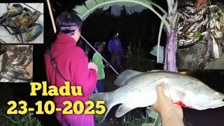 Download Mp3 Pladu phenomenon of drunk fish in the Bengawan Solo River 10-23-2025 Kalitengah Lamongan Gudang lagu Download Mp3 Pladu phenomenon of drunk fish in the Bengawan Solo River 10-23-2025 Kalitengah Lamongan