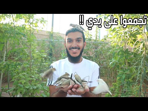 شعور غريب !! | #قام_فارس13