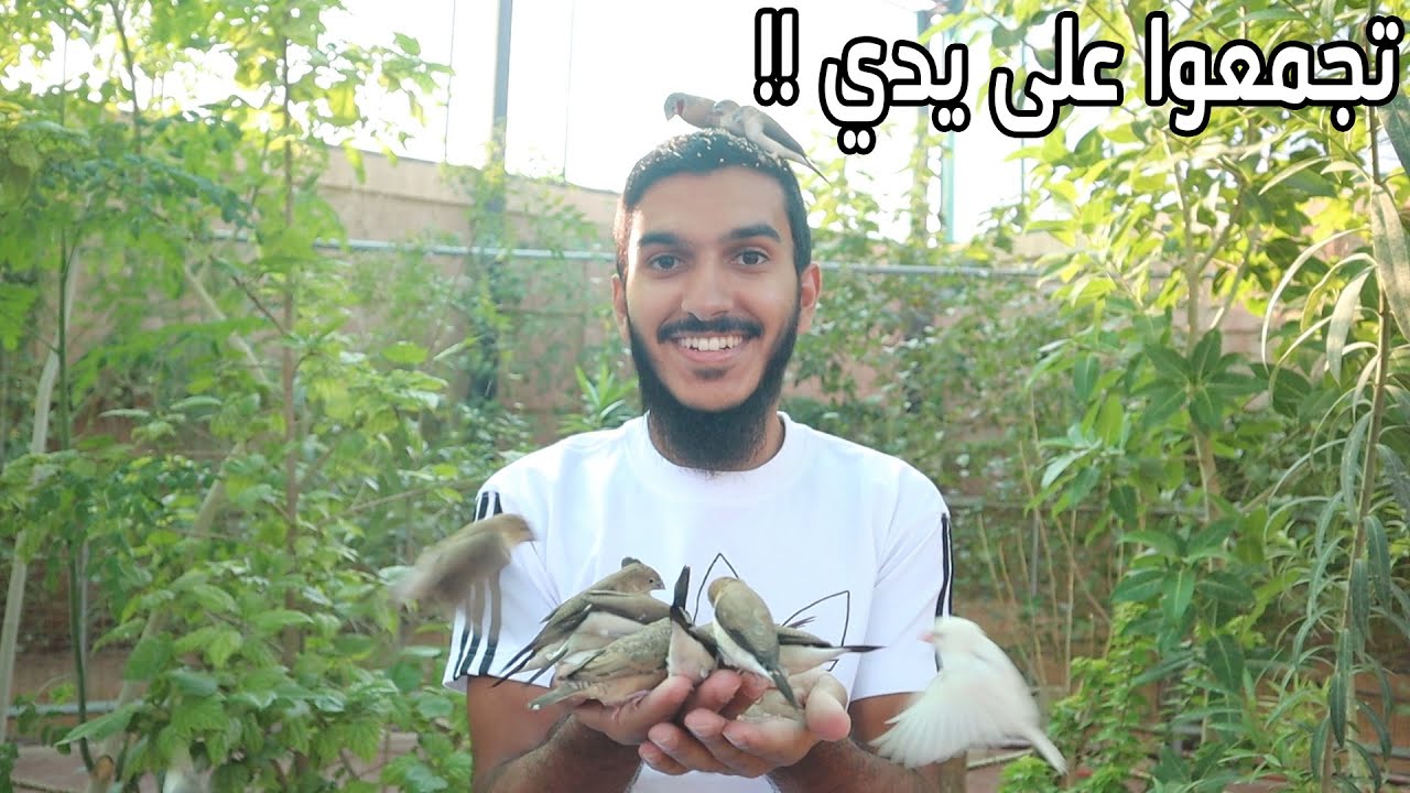 شعور غريب !! | 