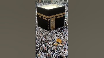 #سورة #الاخلاص - نسالكم الدعاء