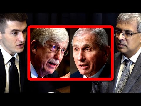 Francis Collins letter to Anthony Fauci | Jay Bhattacharya and Lex Fridman
