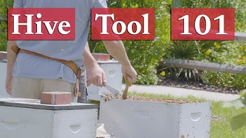 How to Use a Hive Tool | Beekeeping Academy | Ep. 27