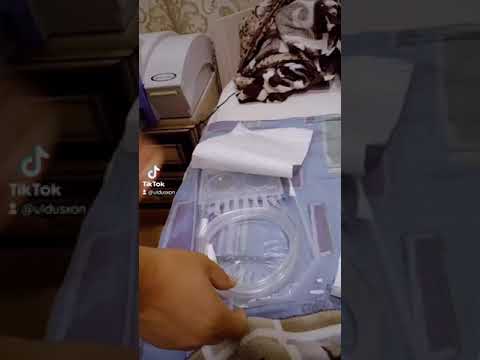 жизнь без почек