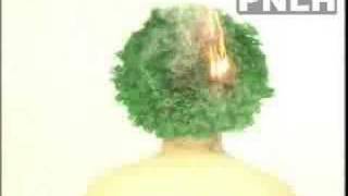 Pnlh X - 10 Nominasi Hasil Lomba Iklan Layanan Masat