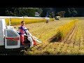 Amazing Combine Harvester little boy operation.龍くん5歳、稲刈りのお手伝い コンバインハーベスターでターンもマスター!まだ保育園児でも上手に運転!