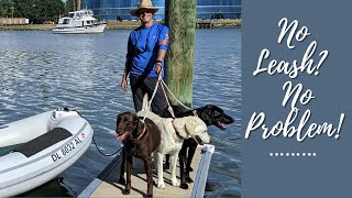 Hampton, Virginia Sailing With Labmaraner Dogs No Leash? No Problem