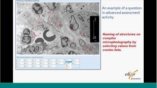 ELIXIR Webinar: eLearning Plarform