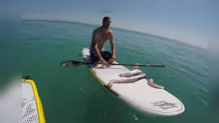 Giant Squid Attack Surf Board