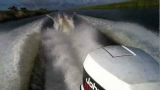 ported 1990 Johnson 115 17ft center console sunbird 46mph