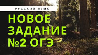 :   2     [IrishU]