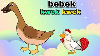 Bebek Kwek Kwek Kwek Lagu Anak Anak Lucu