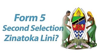 SELEZIONI PER IL QUINTO ANNO 2026 ZINAATOKA LINI?| SELEZIONI PER IL QUINTO ANNO 2025/2026 SELEZIONI PER IL QUINTO ANNO 2026 ZINAATOKA LINI?| SELEZIONI PER IL QUINTO ANNO 2025/2026