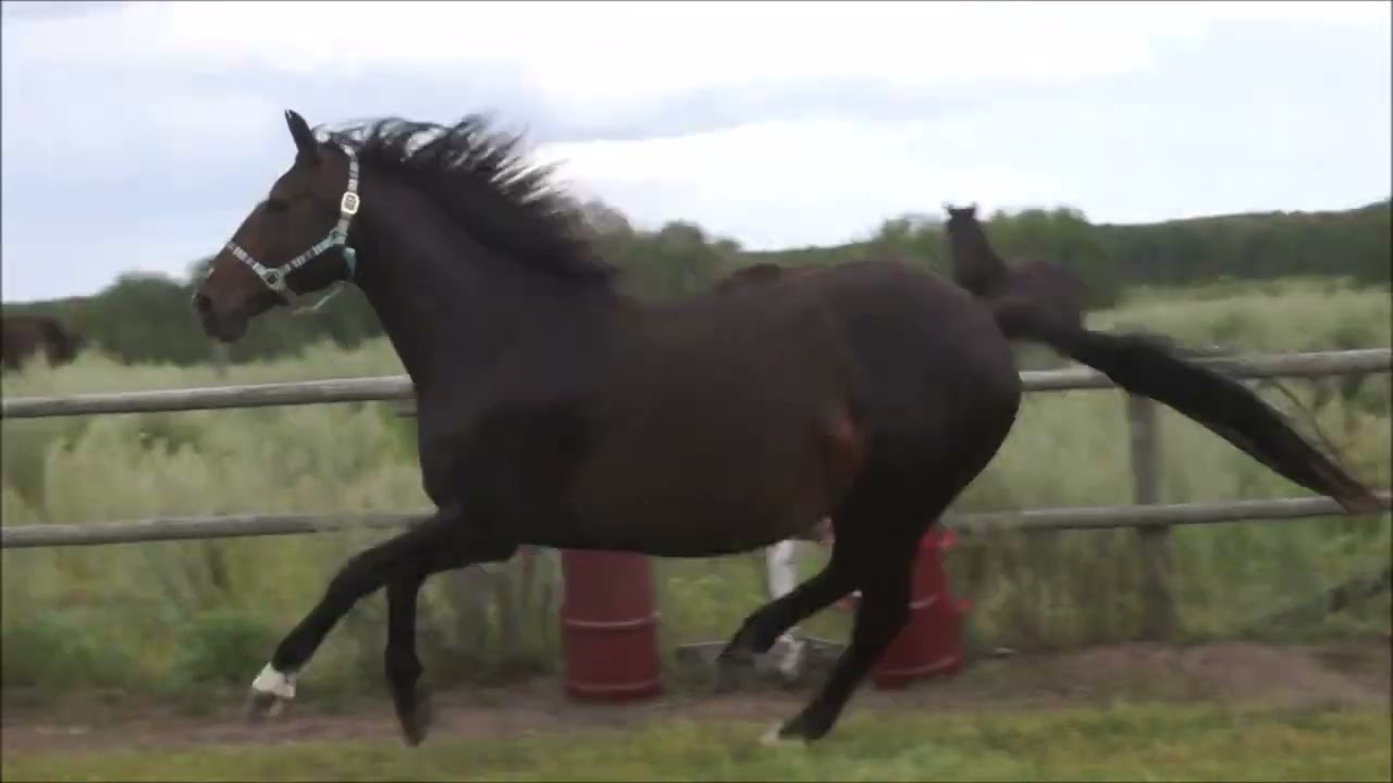 SOLD-Gina at liberty August 8, 2024