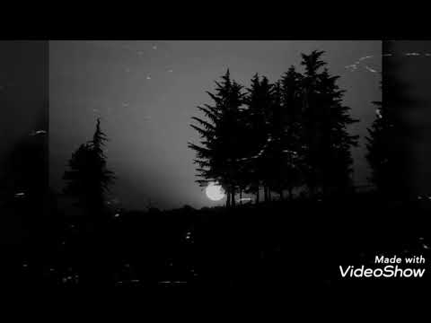 ლექსები \"მთვარიან ღამეს\"