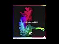 Avicii Unbreakable Ft Sandro Cavazza Live In Osaka 2016