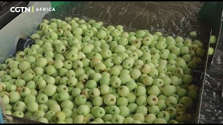 Youth in Motion - South African fruits aim to expand their offerings in the Global South